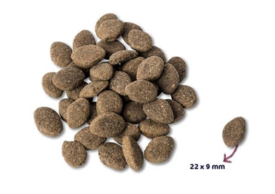 Renske Super Premium Adult Lamb Grain Free